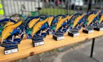 III Bieg Słowackiego - dedykowany 120-leciu oświaty na Sadzawkach.