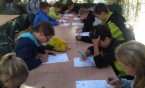 6A w ZOO