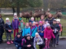 Podsumowanie akcji zbierania zabawek.