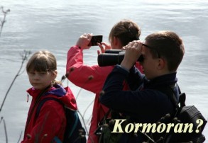 Koło Ekologiczne w SP 1 - Żabie Doły