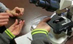 Zielona lekcja w Gimnazjum nr 8 w ZSI