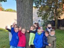 Dzień drzewa w klasie 2a