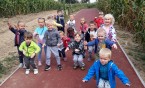 Zdrowo i sportowo