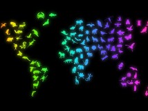 Wyniki Wojewódzkiego Konkursu Przedmiotowego z Biologii