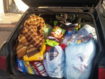 Efekty zbiórki na rzecz Schroniska dla zwierząt w Chorzowie w Przedszkolu Nr 18