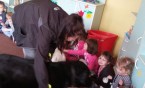 Zajęcia edukacyjne z psami w P18